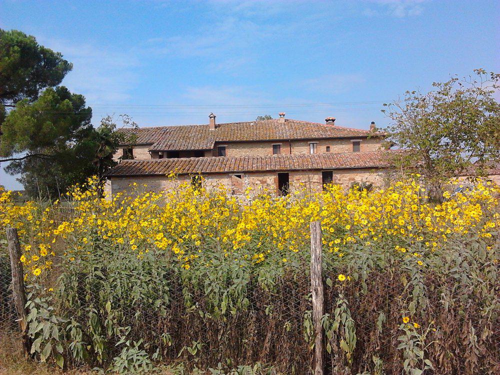 Azienda agricola in Strada Comunale delle Chiarne, Asciano - Foto 1