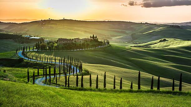 Azienda agricola in vendita, Sinalunga - Planimetria 1