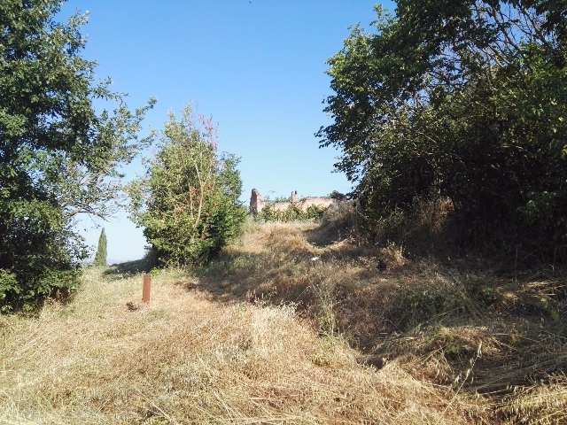 Homestead in Via Roma, Monteroni d'Arbia - Photo 1