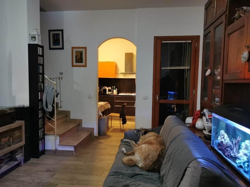 immagine annuncio 1 di 10