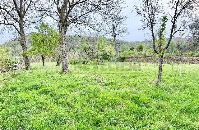 Agricultural land, Castel San Giorgio - Photo 1