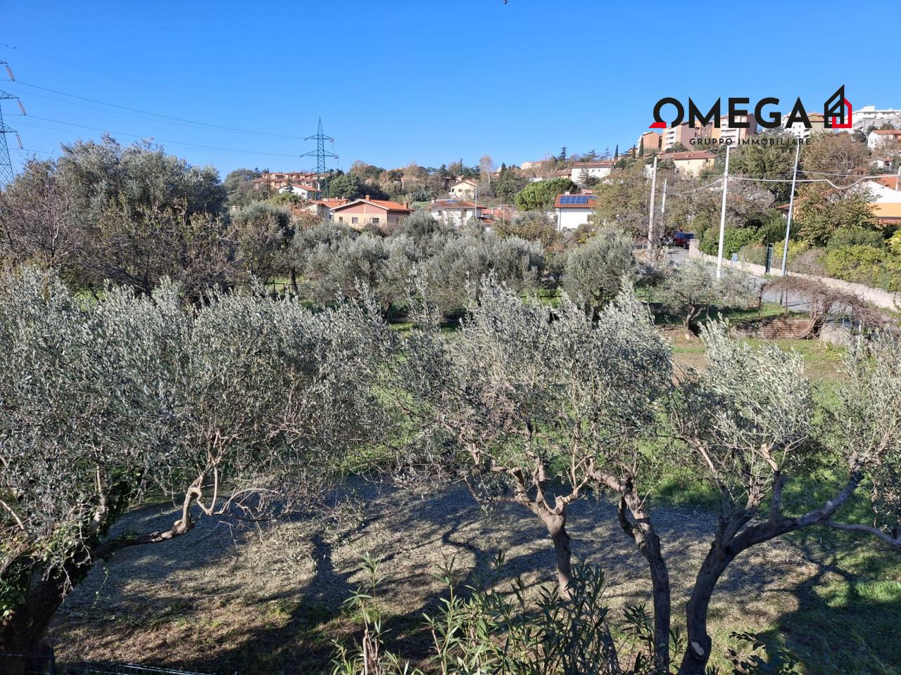 immagine annuncio 5 di 6
