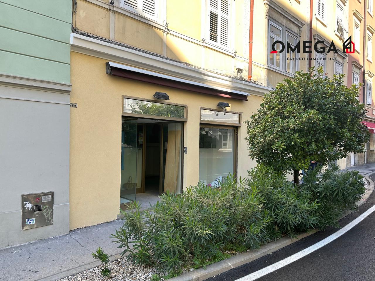 Negozio in Via Ponziana, 3, Trieste, {3} - Foto 1