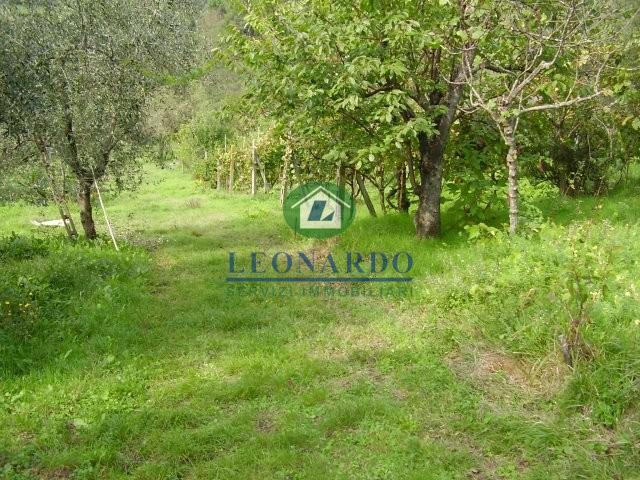 Residential building land, Massa e Cozzile - Photo 1