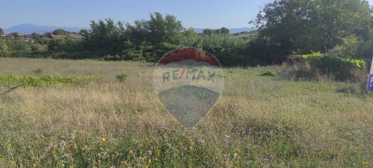 Terreno agricolo in vendita a San Cesareo