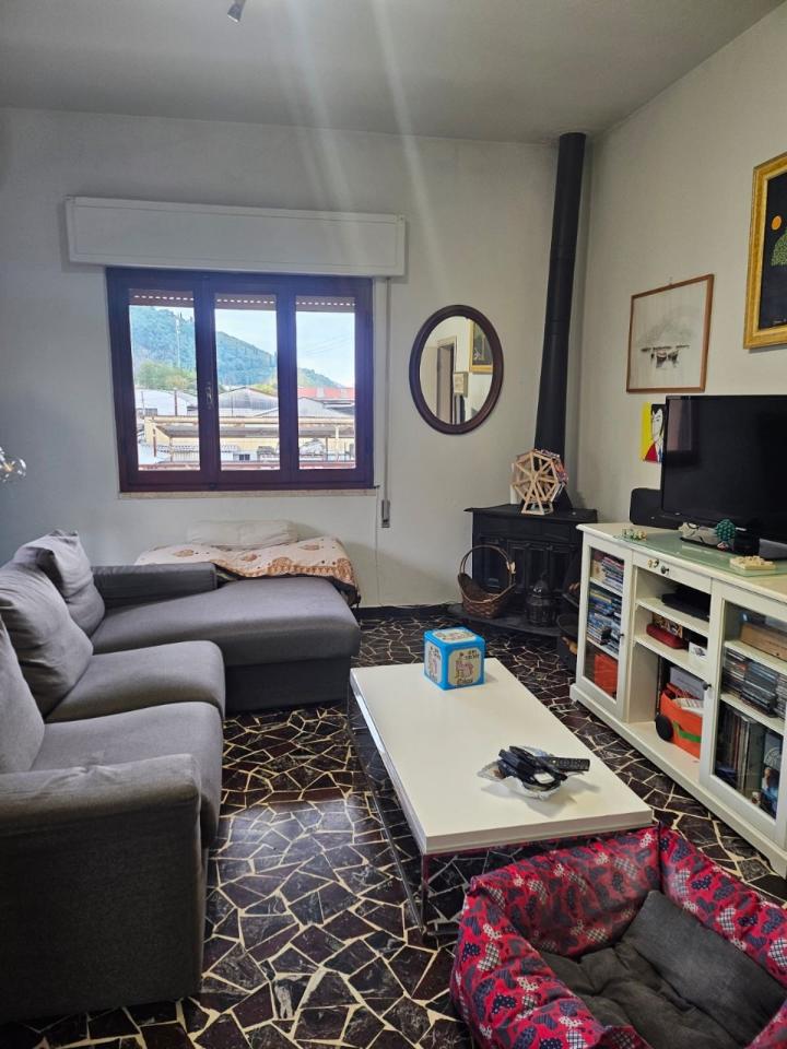 immagine annuncio 2 di 12