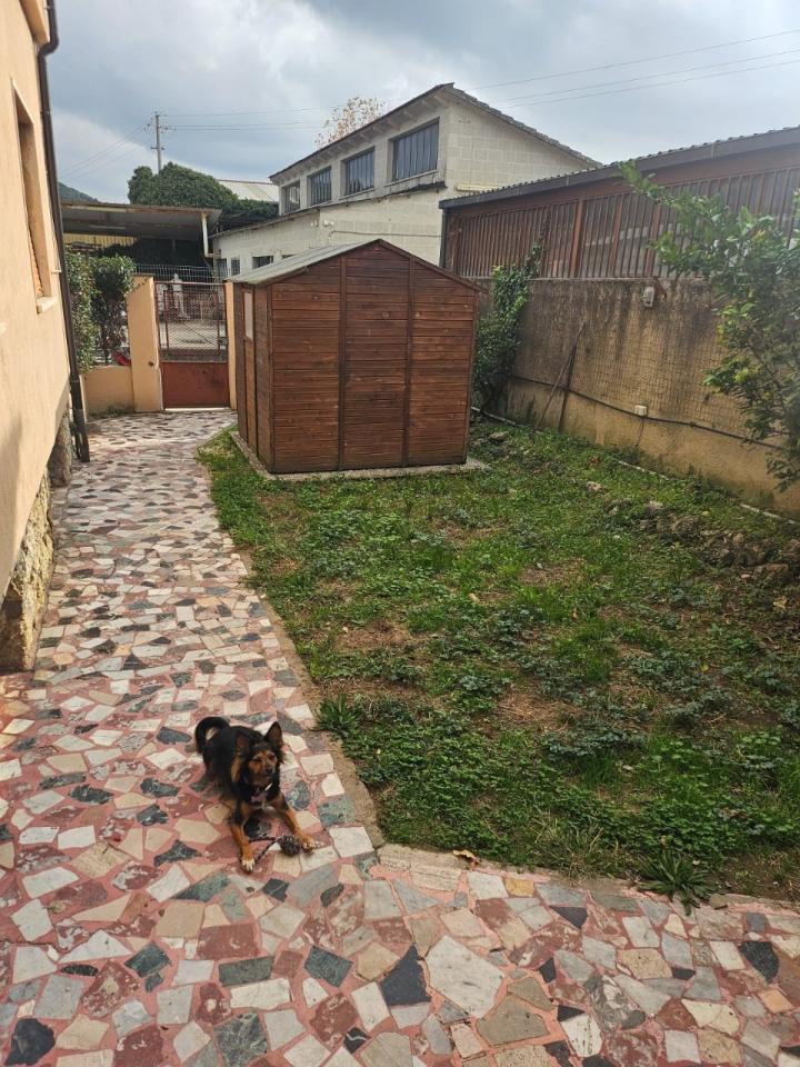 immagine annuncio 6 di 12