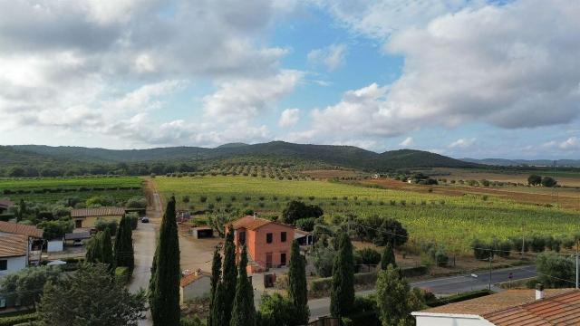 Country house or cottage, Capalbio - Photo 1