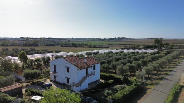 Country house or cottage, Capalbio - Photo 1