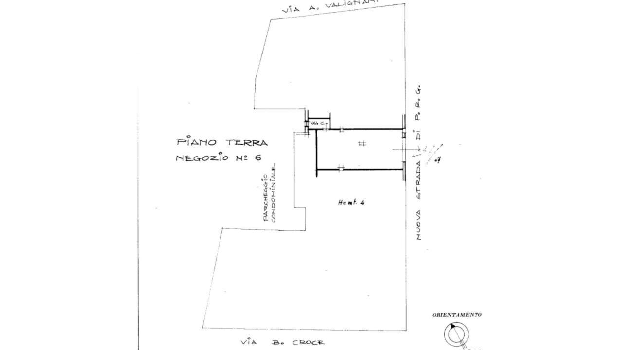 Negozio in Via Corradino d'Ascanio, 6, 65126, Pescara, {3} - Planimetria 1