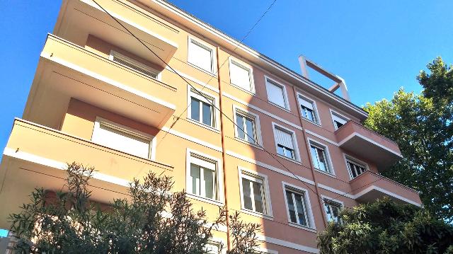 Office in Piazza Apollodoro, 1, 00196, Roma - Photo 1