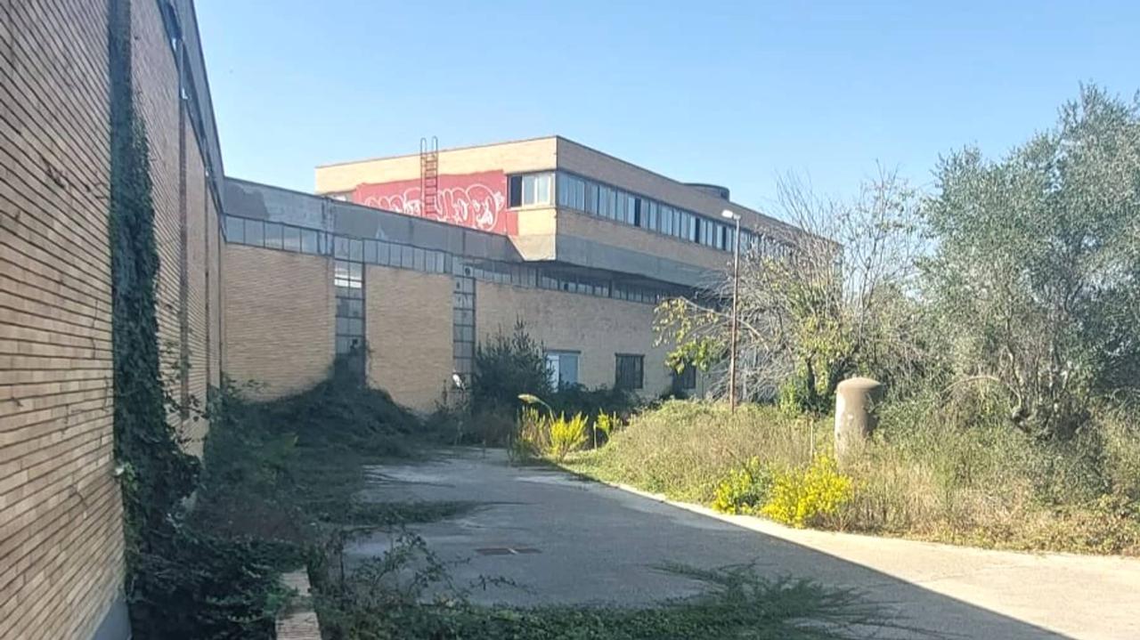 Capannone in Via Busto Arsizio, 9, 00071, Pomezia, {3} - Foto 2