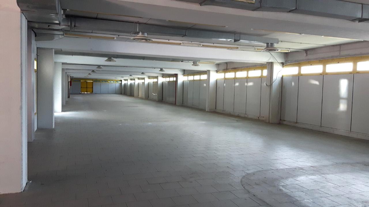 Negozio in Piazzale dei Militari Caduti nei Lager, 145, 00143, Roma, {3} - Foto 2