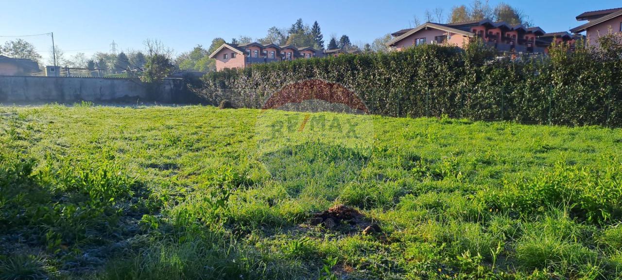 immagine annuncio 11 di 12