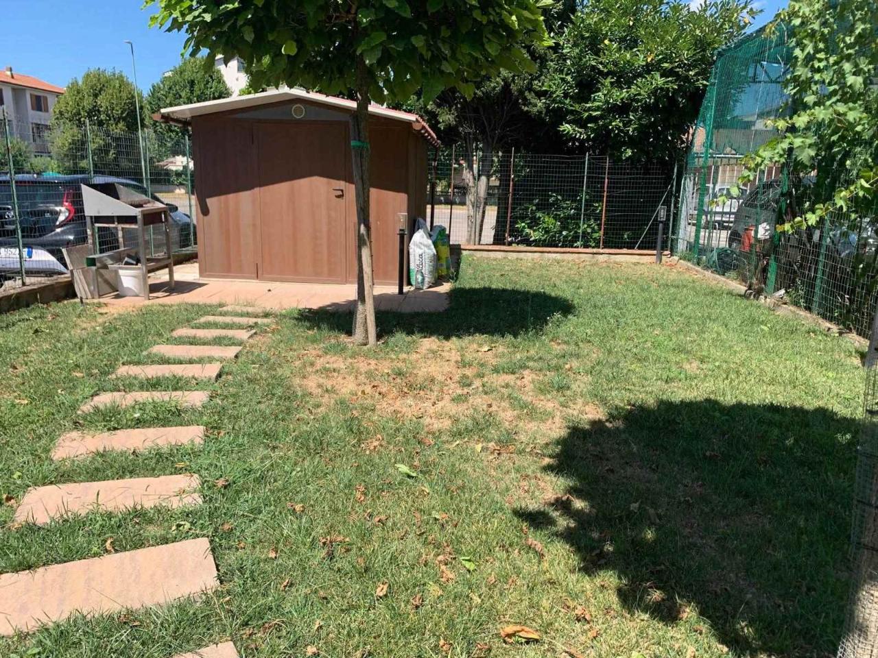 immagine annuncio 5 di 15