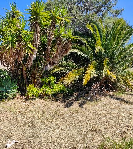 Villa in Traversa Sant'Agostino 15, Siracusa - Foto 1