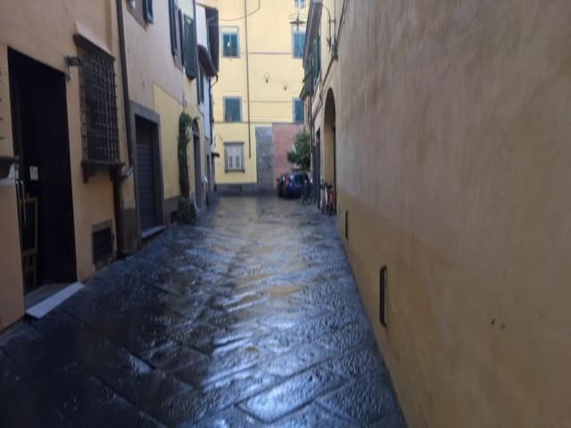 Magazzino in , Lucca, {3} - Foto 1