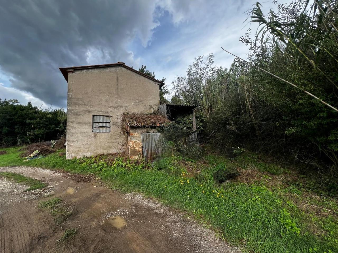 immagine annuncio 4 di 7