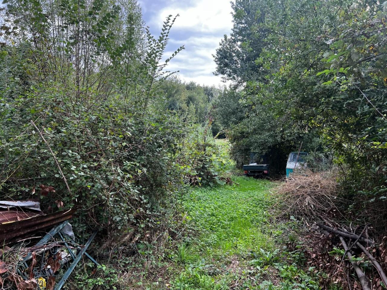 immagine annuncio 5 di 7