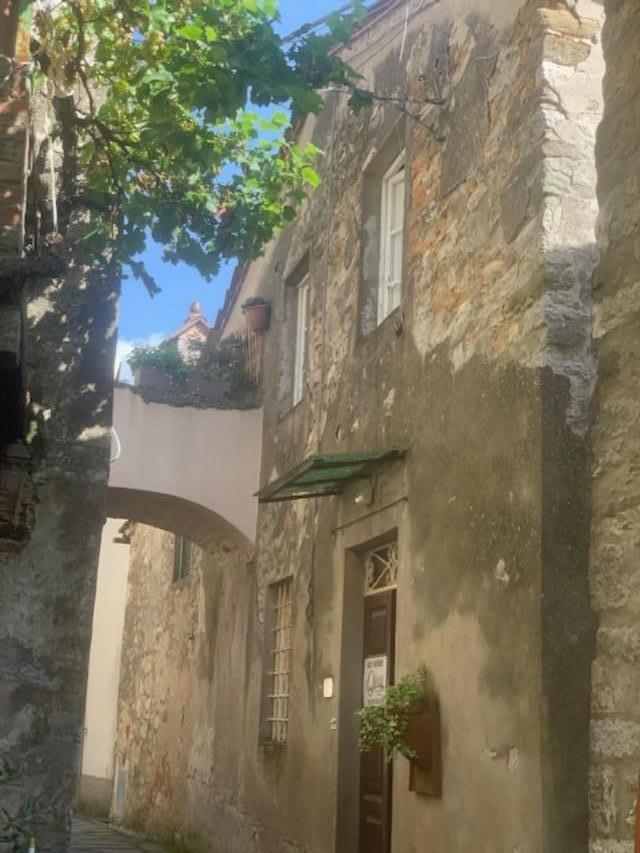immagine annuncio 11 di 14