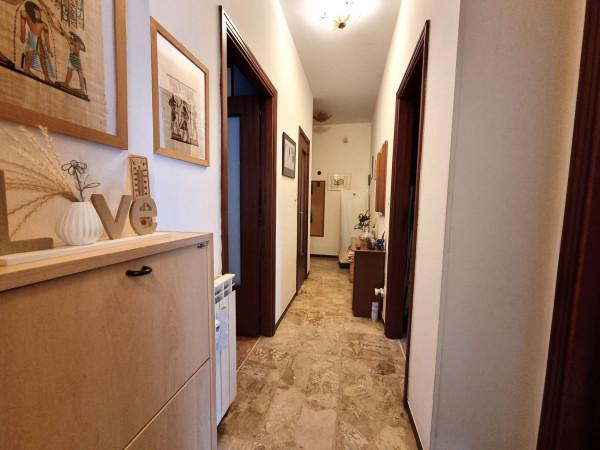 immagine annuncio 10 di 14