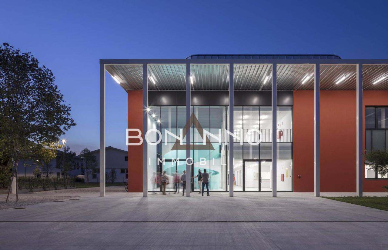 immagine annuncio 3 di 7