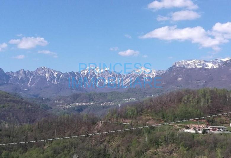 Esercizio commerciale in , Valli Del Pasubio, {3} - Foto 2