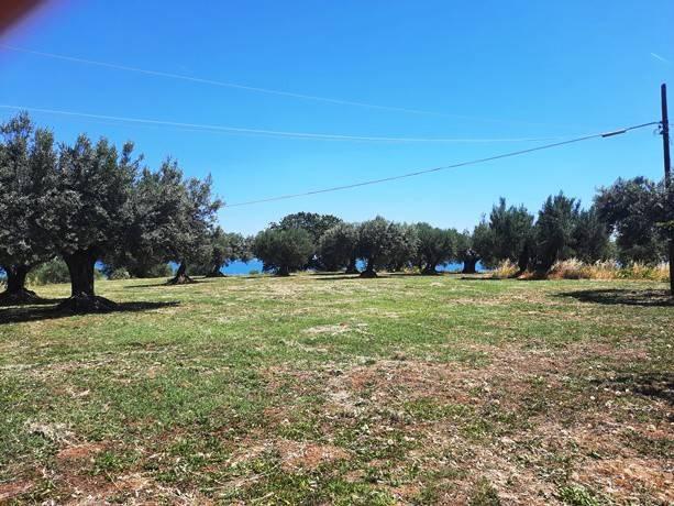 Terreno agricolo in vendita a Montesilvano