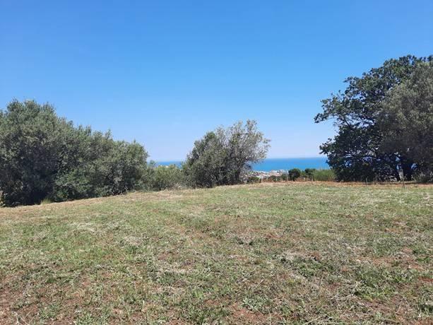 Terreno agricolo in vendita a Montesilvano