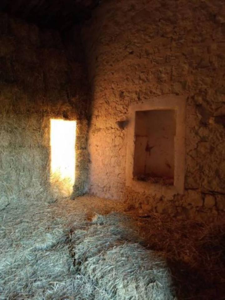 immagine annuncio 3 di 12