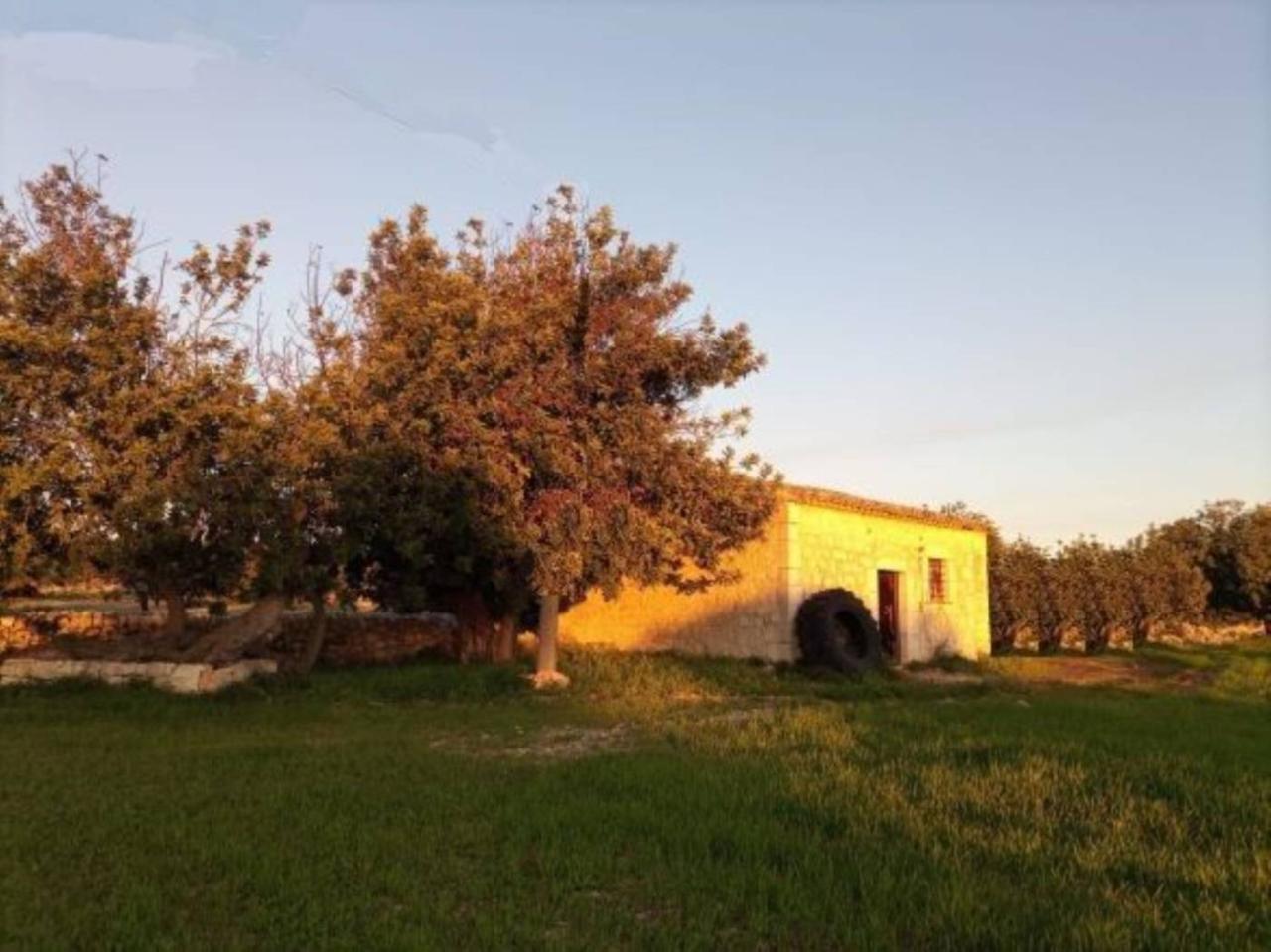 immagine annuncio 11 di 12
