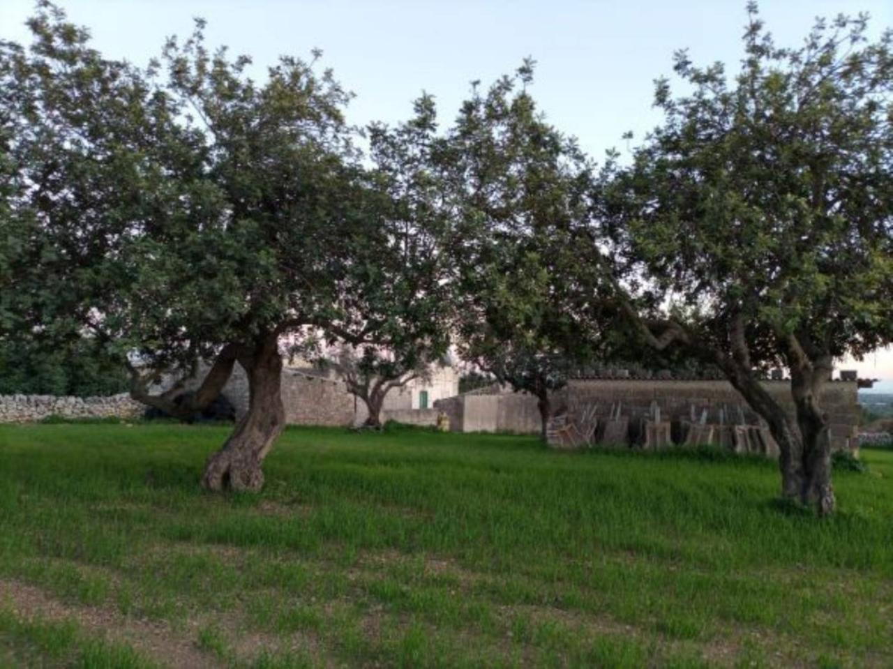 immagine annuncio 3 di 14