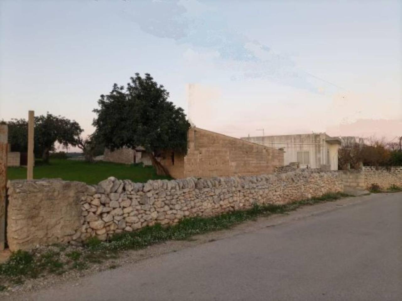 immagine annuncio 9 di 14