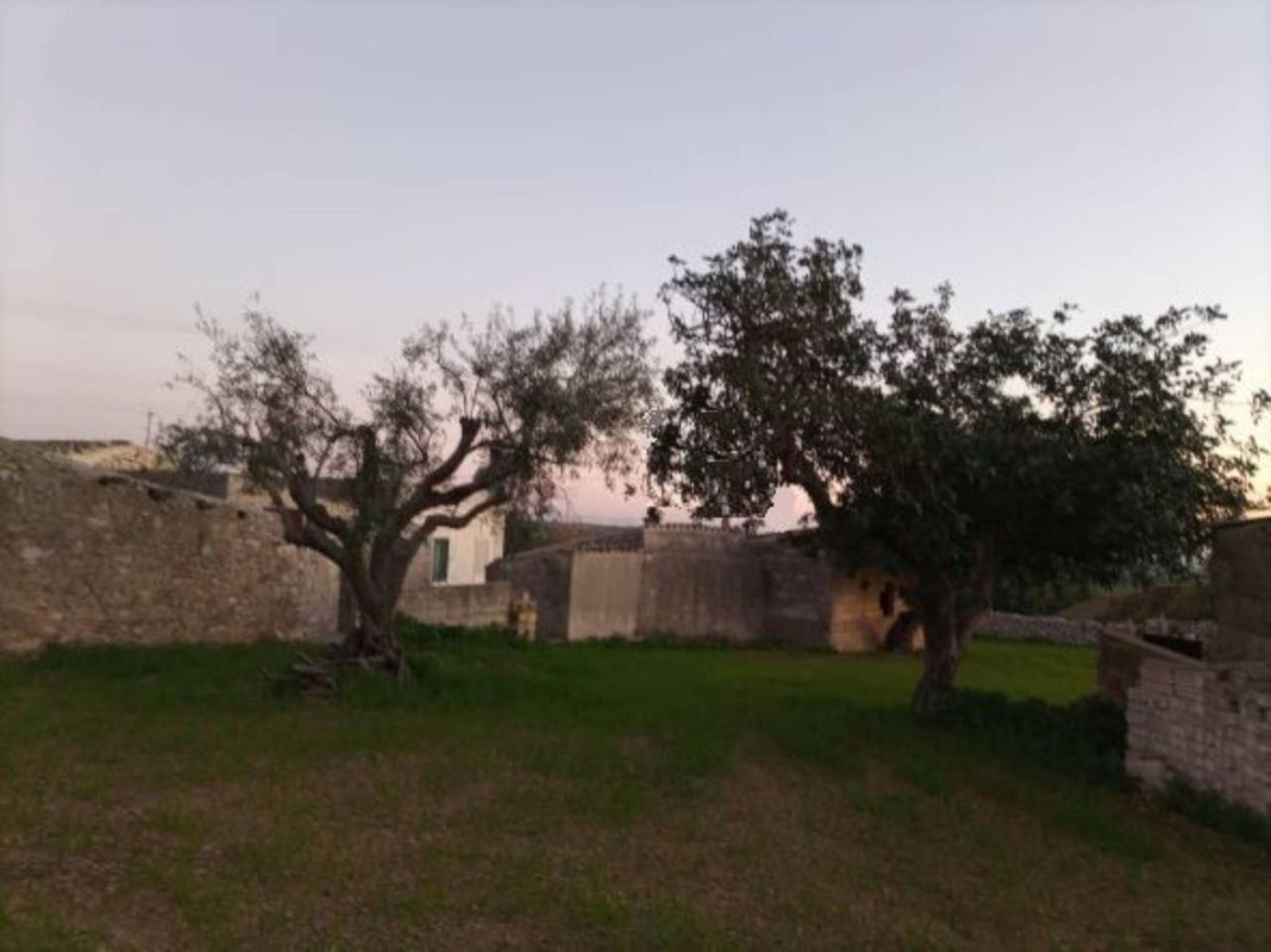 immagine annuncio 11 di 14