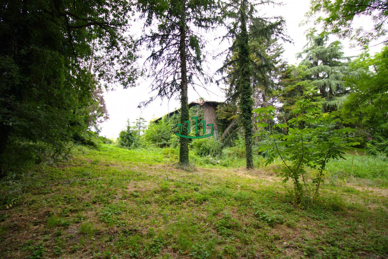 immagine annuncio 8 di 12