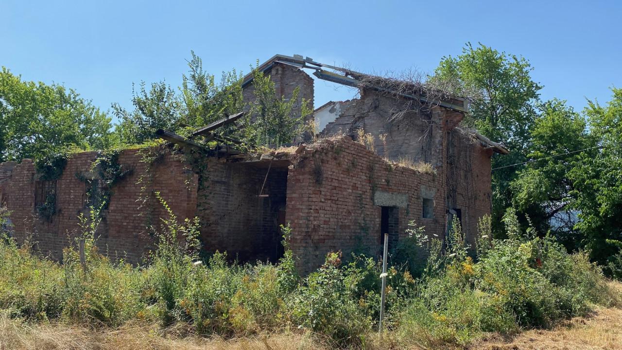 immagine annuncio 5 di 9