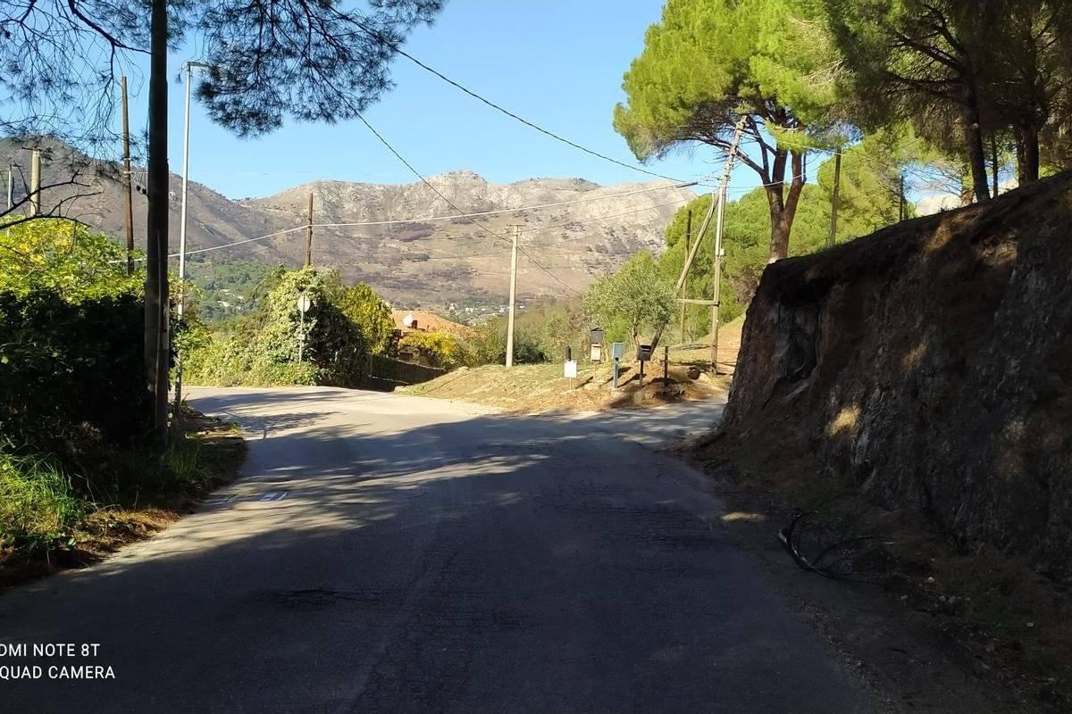 immagine annuncio 3 di 6