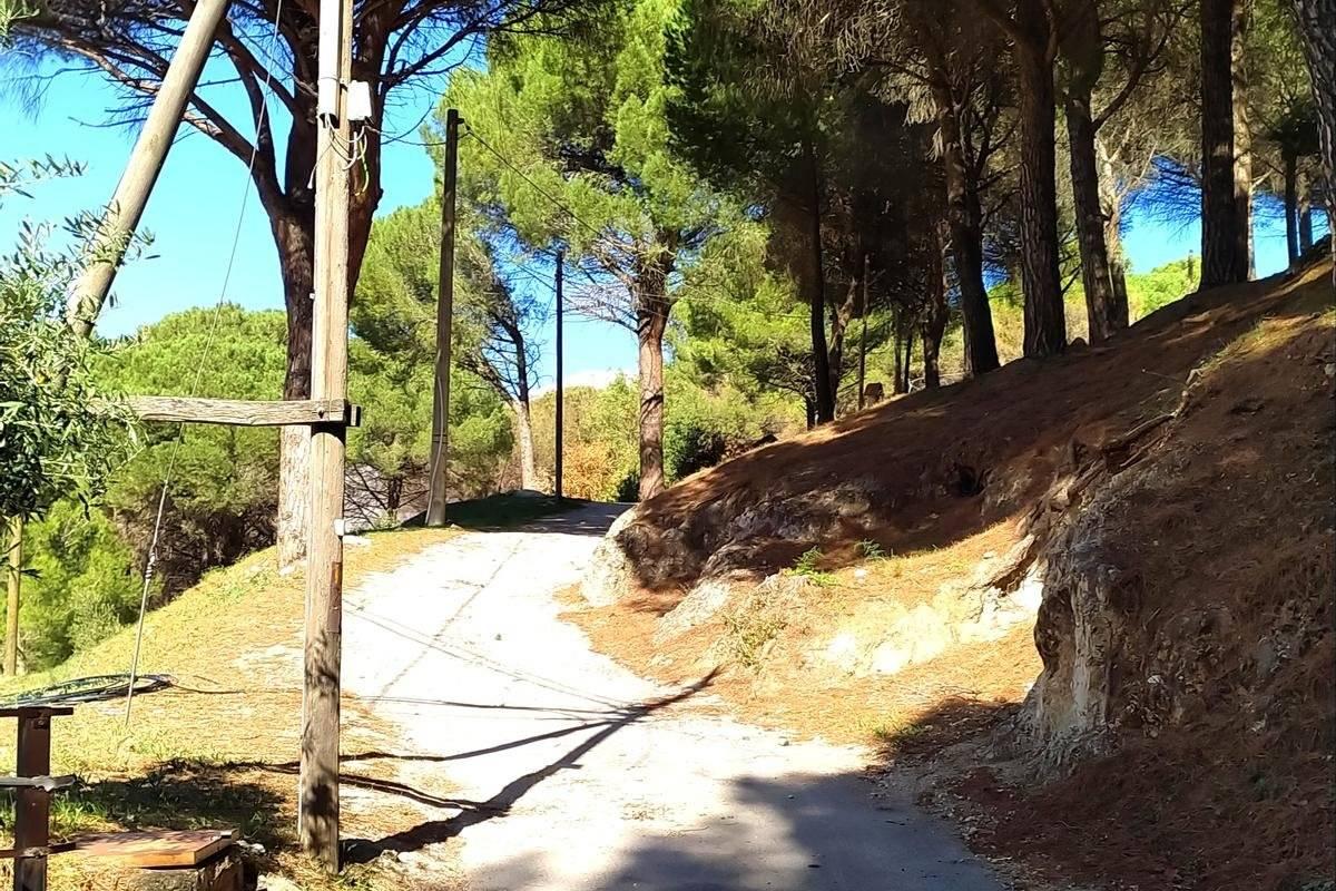 immagine annuncio 4 di 6