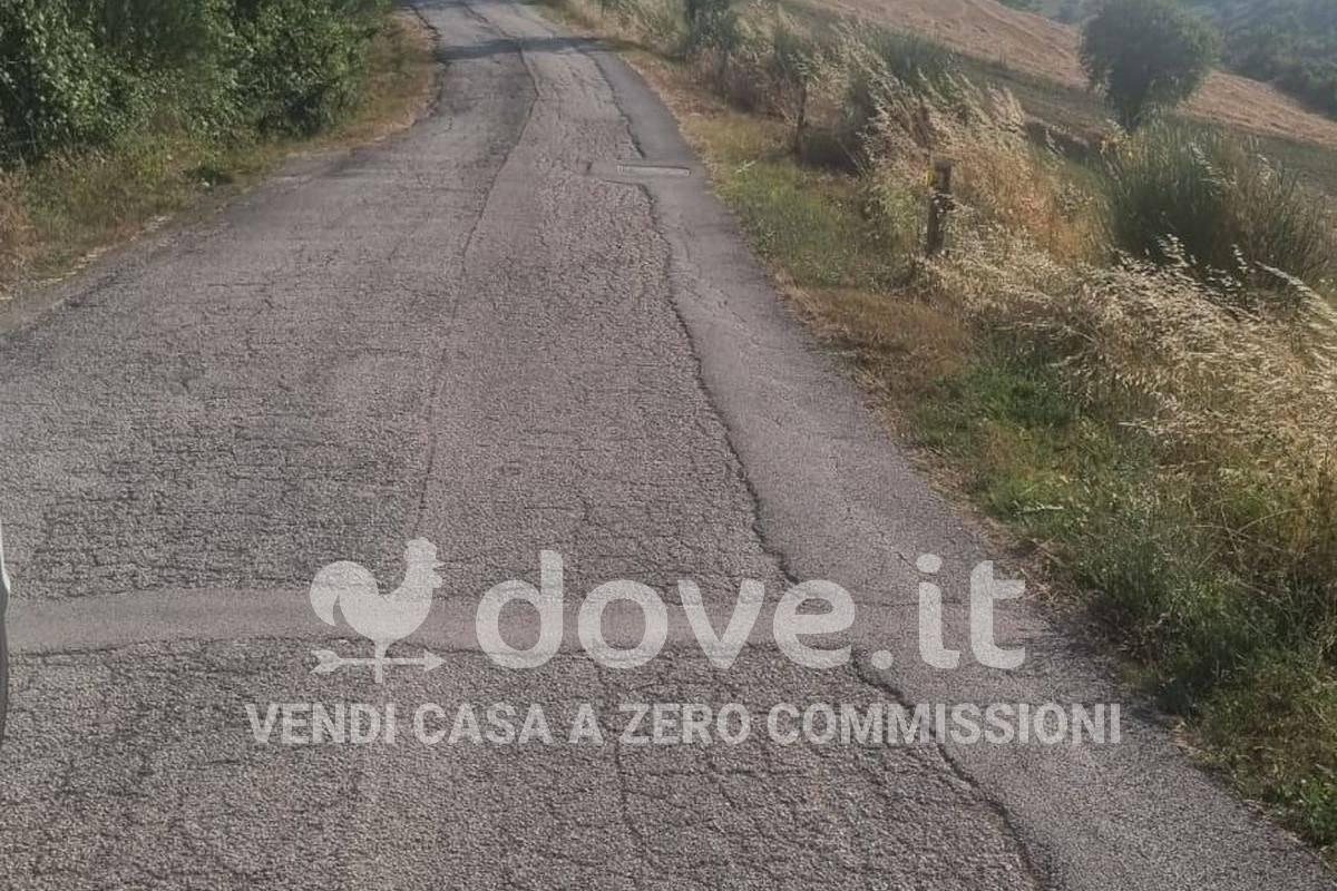 immagine annuncio 10 di 11