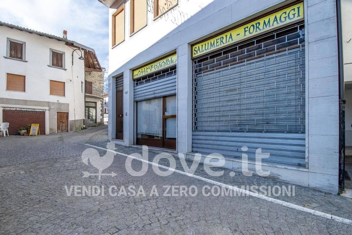 immagine annuncio 12 di 14