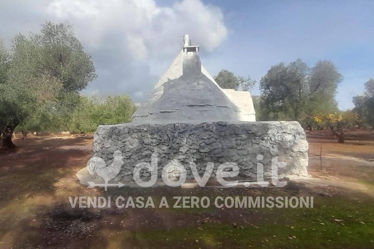 immagine annuncio 7 di 12