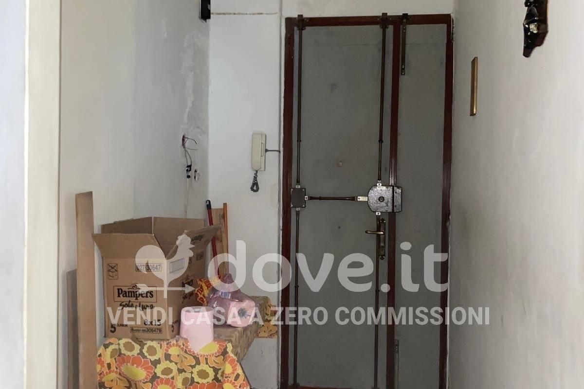immagine annuncio 5 di 14