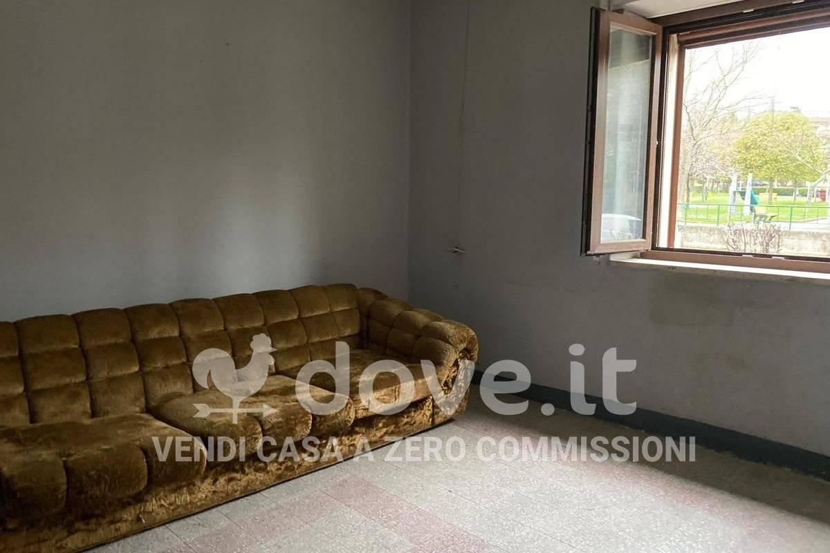 immagine annuncio 7 di 14