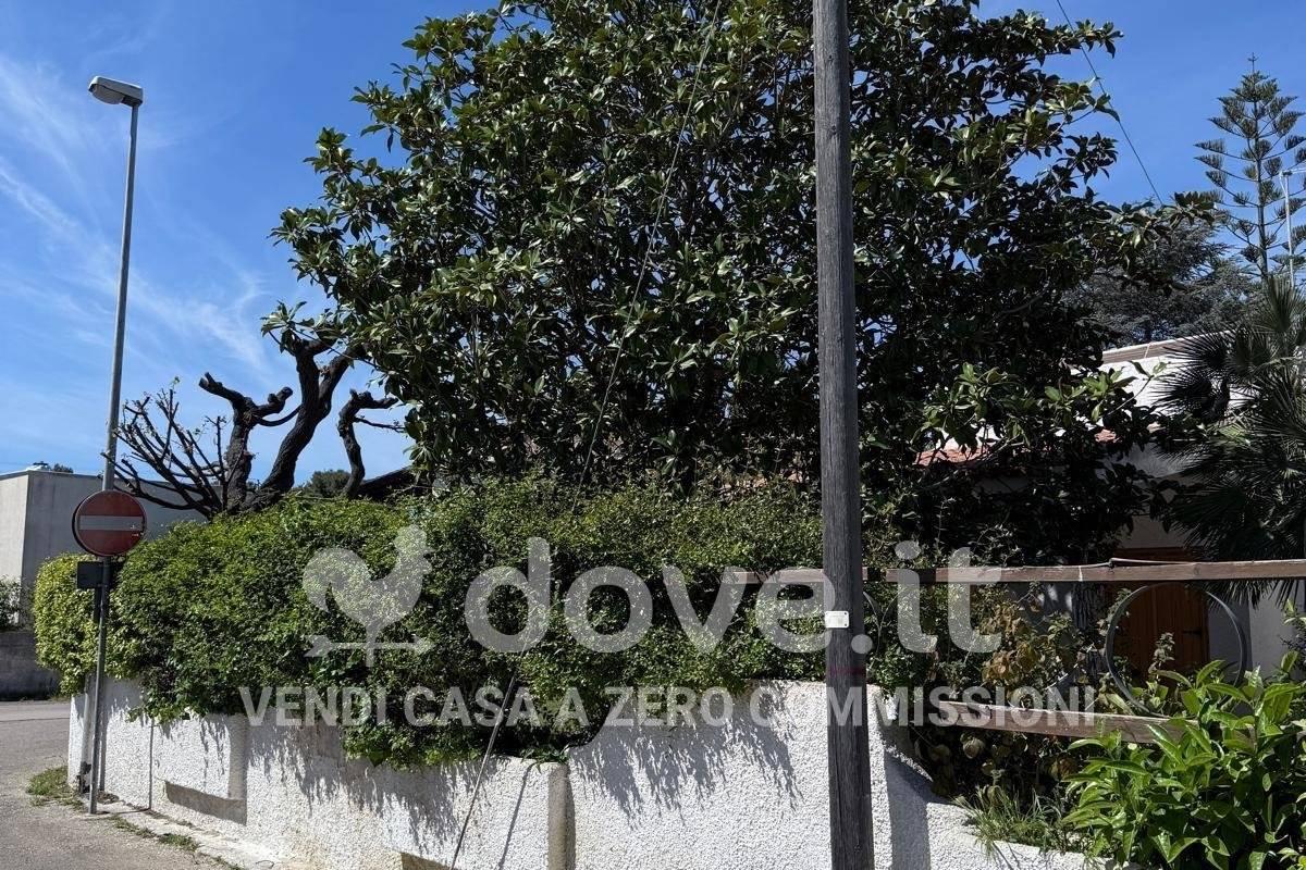 immagine annuncio 5 di 6