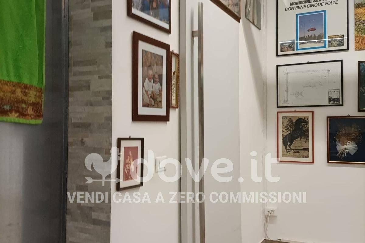 immagine annuncio 7 di 14