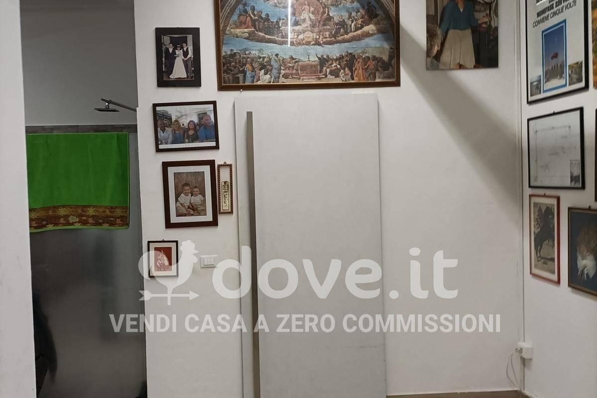 immagine annuncio 3 di 14