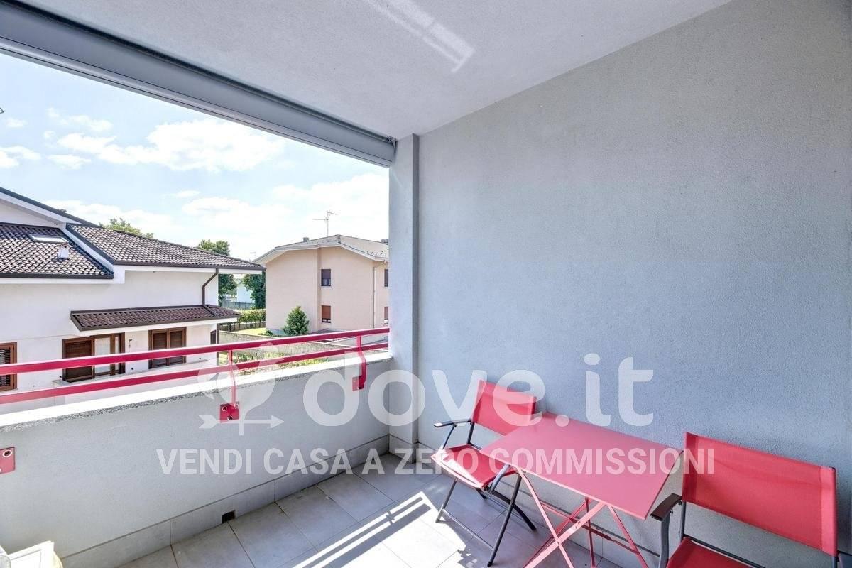 immagine annuncio 12 di 15