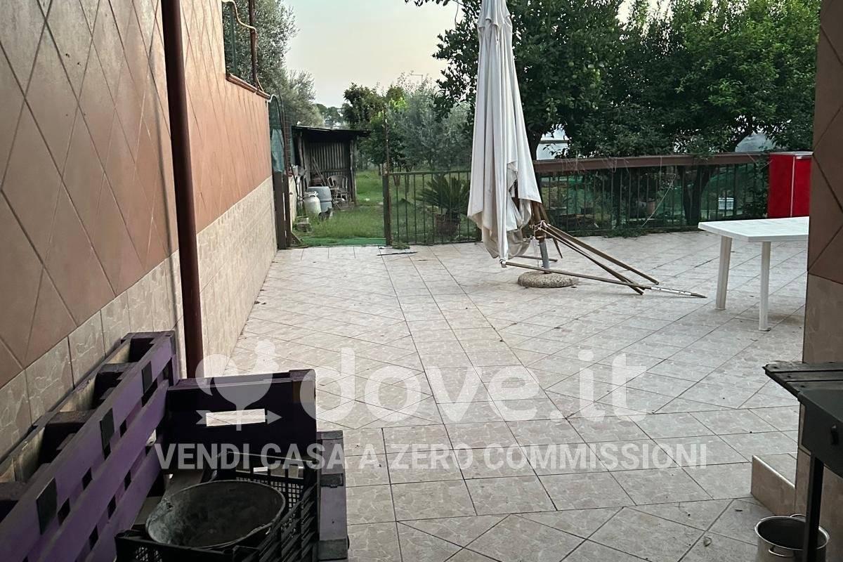 immagine annuncio 9 di 13