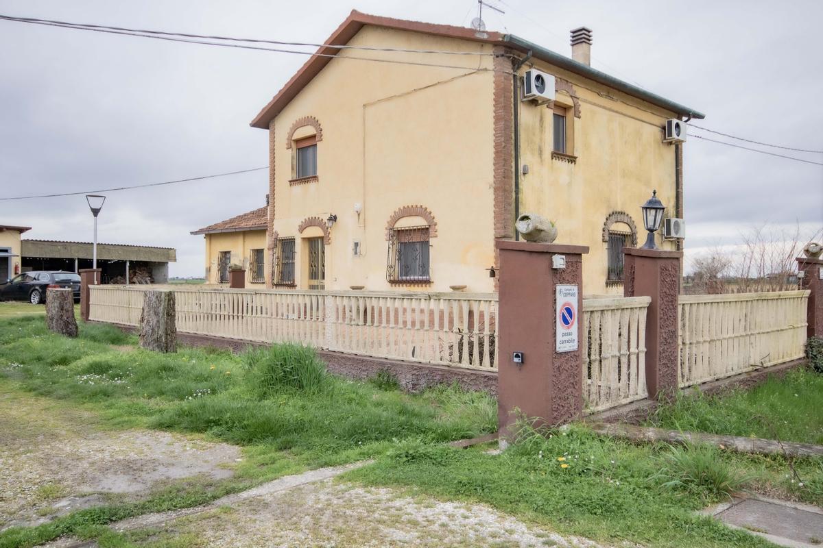 immagine annuncio 1 di 15