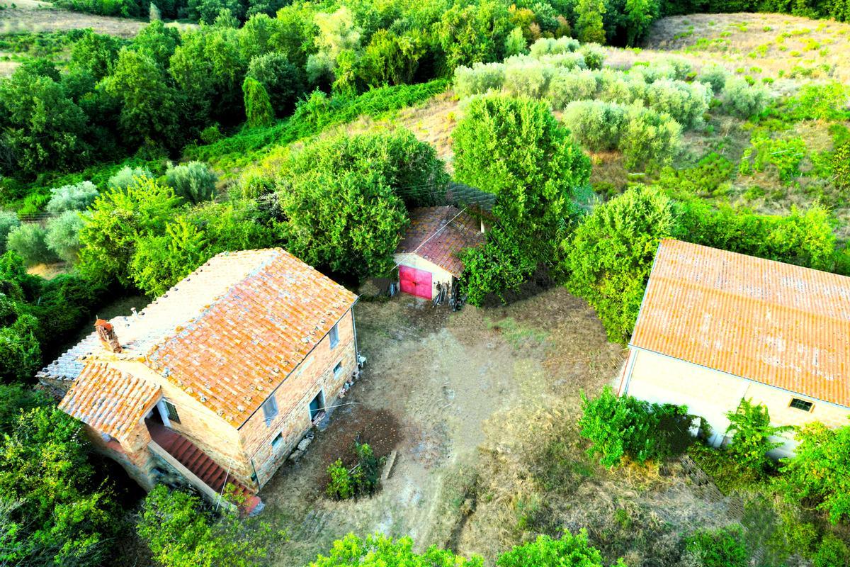immagine annuncio 8 di 12